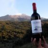 Immagine di Etna Rosso DOC 2017